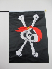 Small Pirate Flag